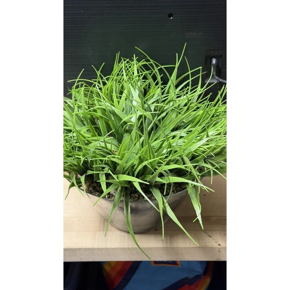 Artificial Grass Plant in Glass Pot Faux Green Decor ~12